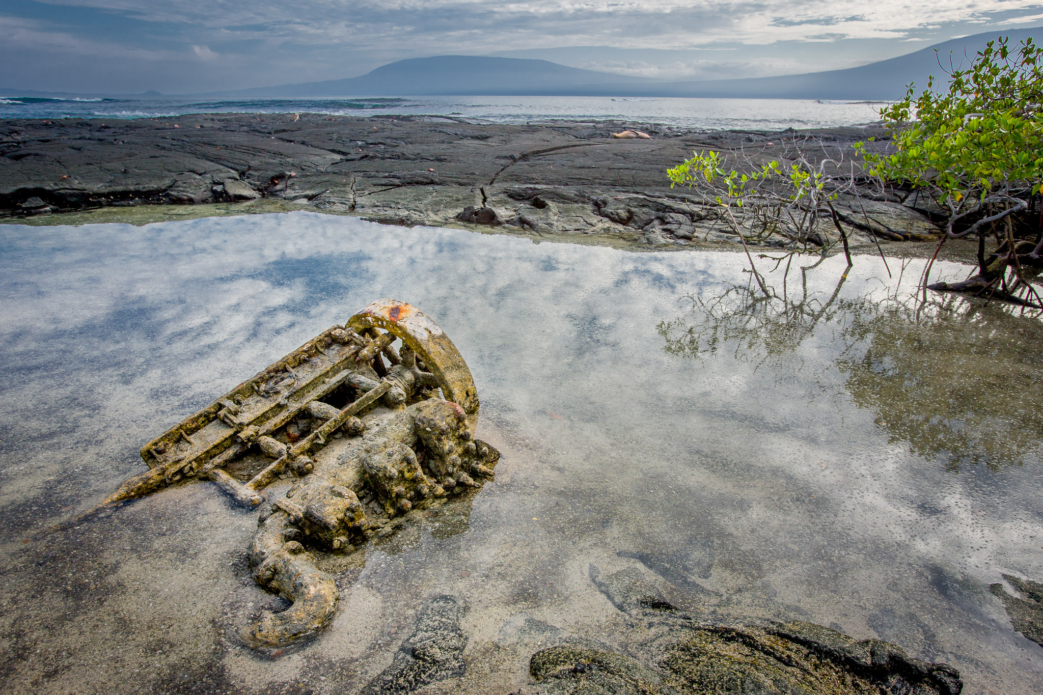 Sunked ship engine raised by recent volcanic uplift