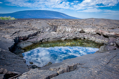 Lava pond – Fernandina is newest Galapagos island & very volcanically active