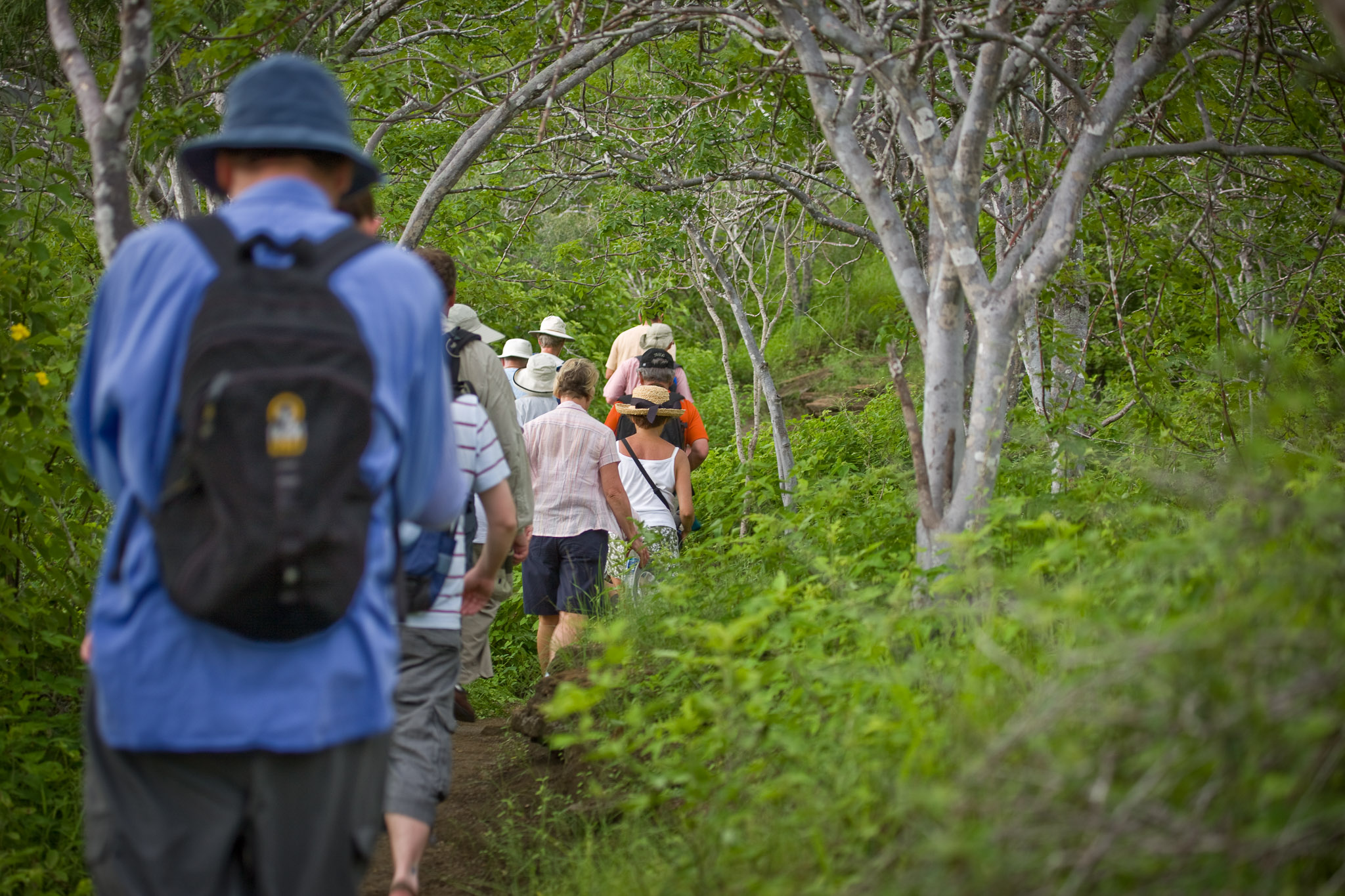 Hiking through the vegetation