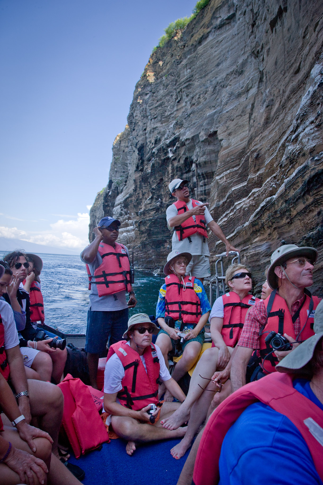 Looking at cliff wildlife