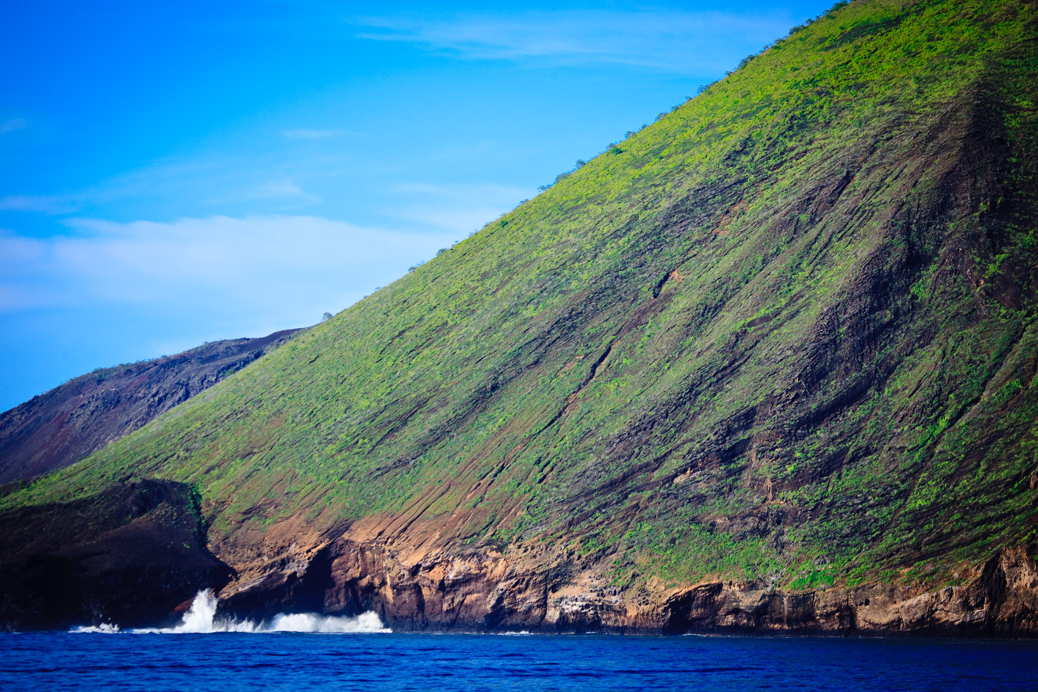 Northern coastline of Isla Isabella