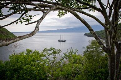 The Alta anchored in Tagus Cove