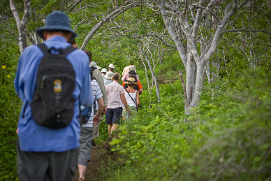 Hiking through the vegetation