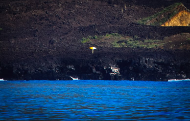 Equator marker on Isla Isabella