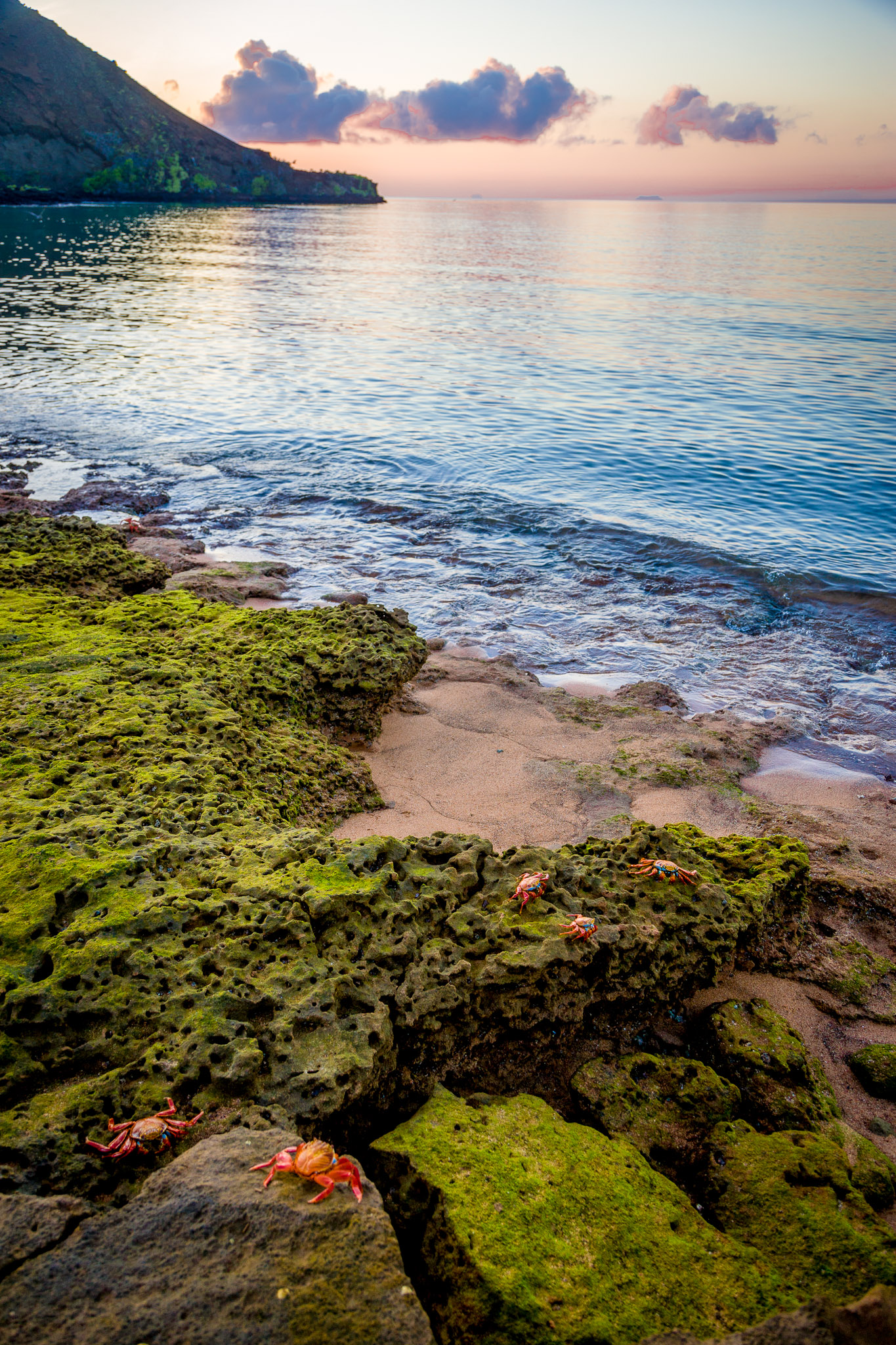 Early morning beach scene on Isla Bartolome