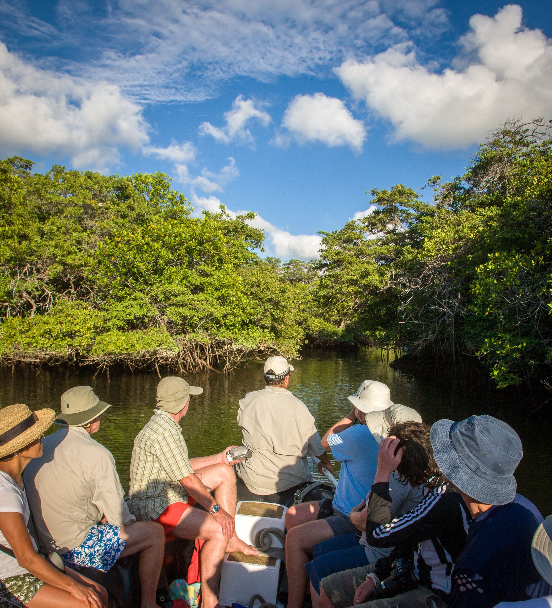 Entering mangrove lagoon, home of birds, turtles, & sharks