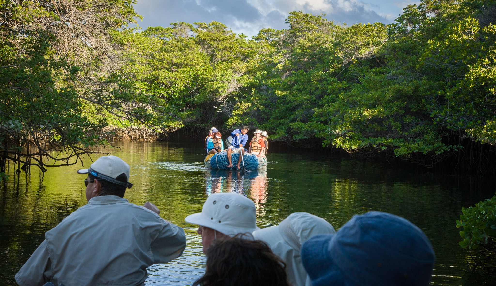 Entering mangrove lagoon, home of birds, turtles, & sharks