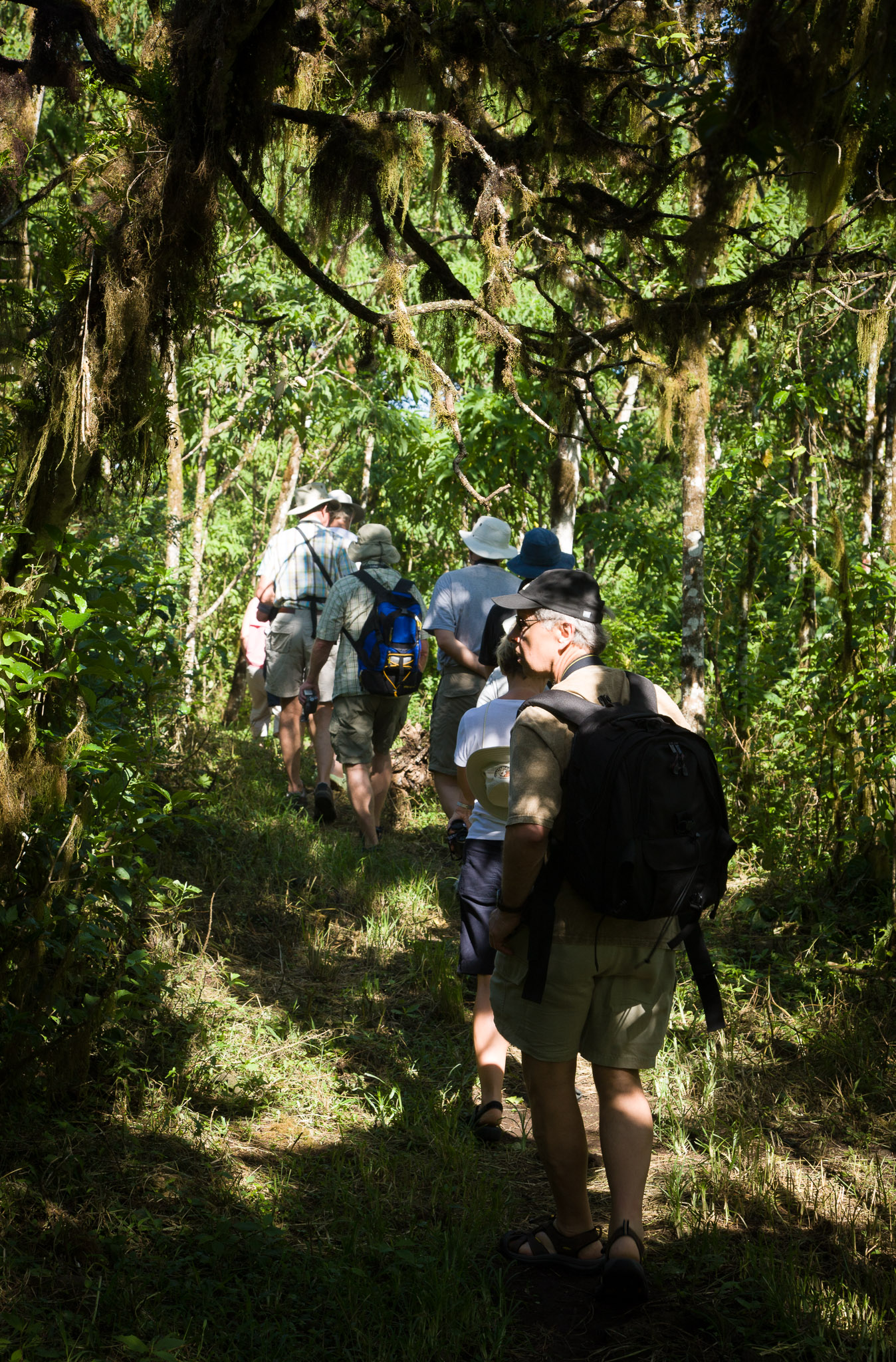 Hiking through the cloud forest