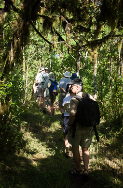Hiking through the cloud forest