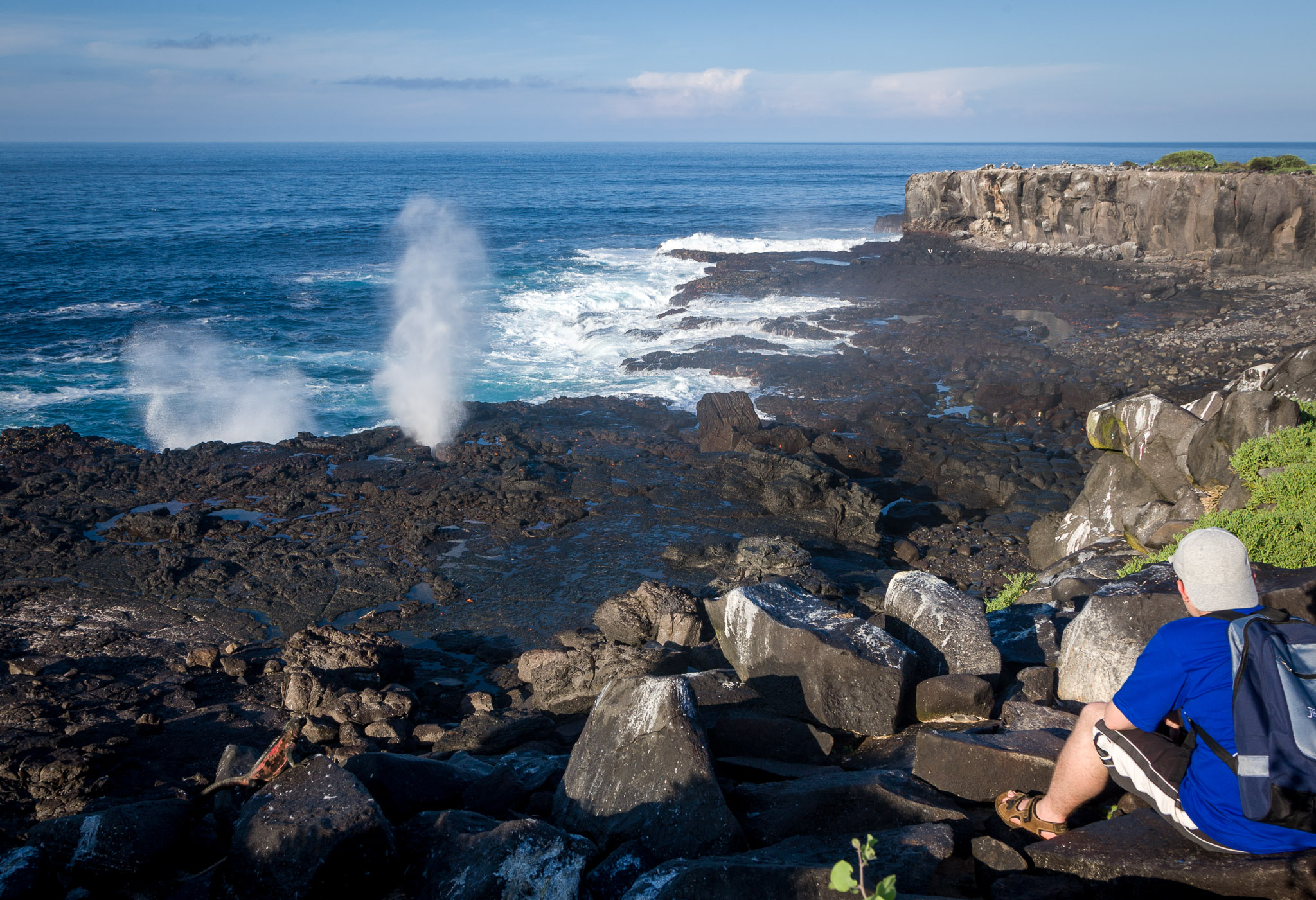 Blowhole