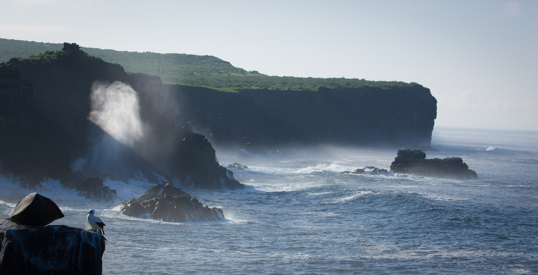 Rugged coastline