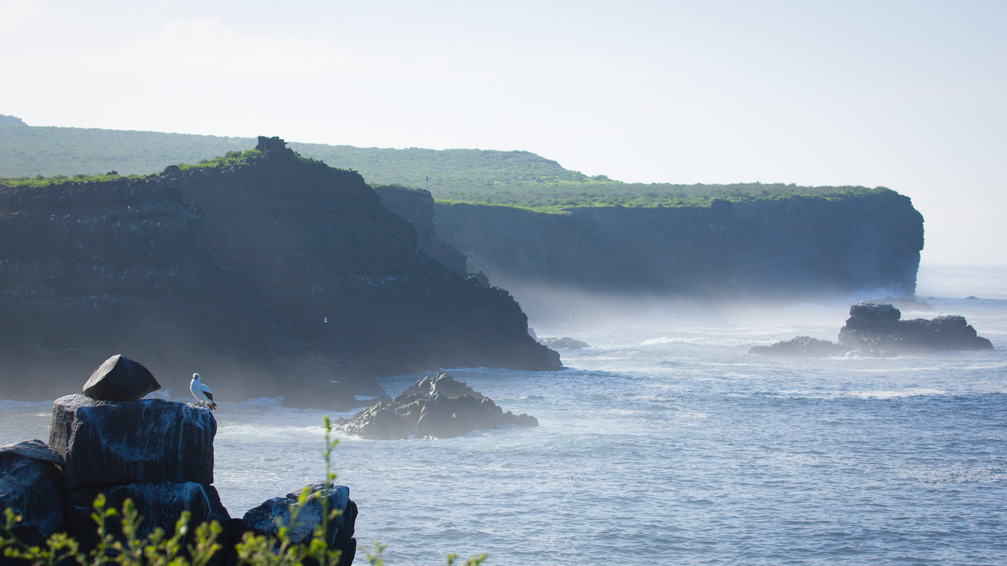 Rugged coastline