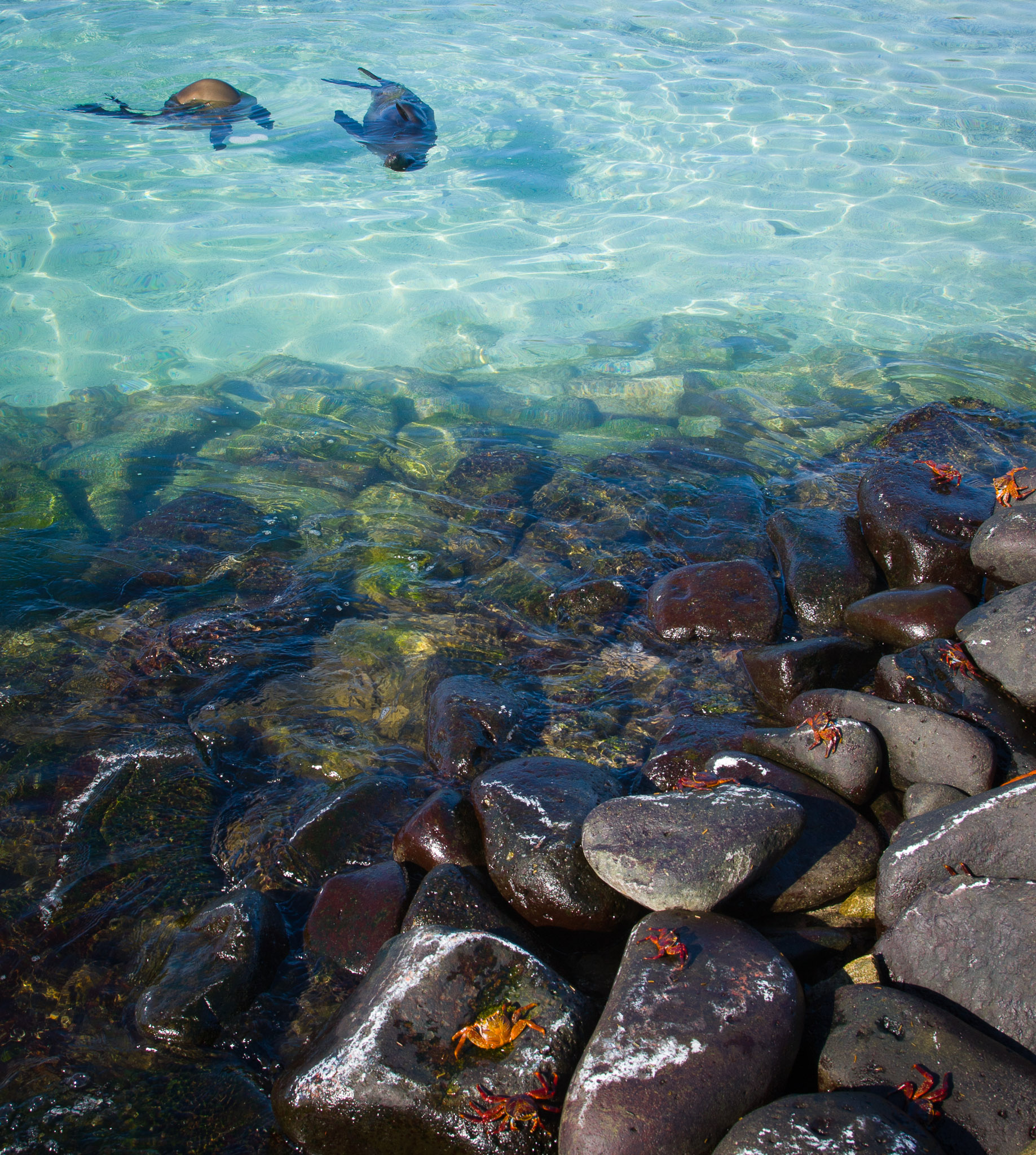 On the boundary between land & sea