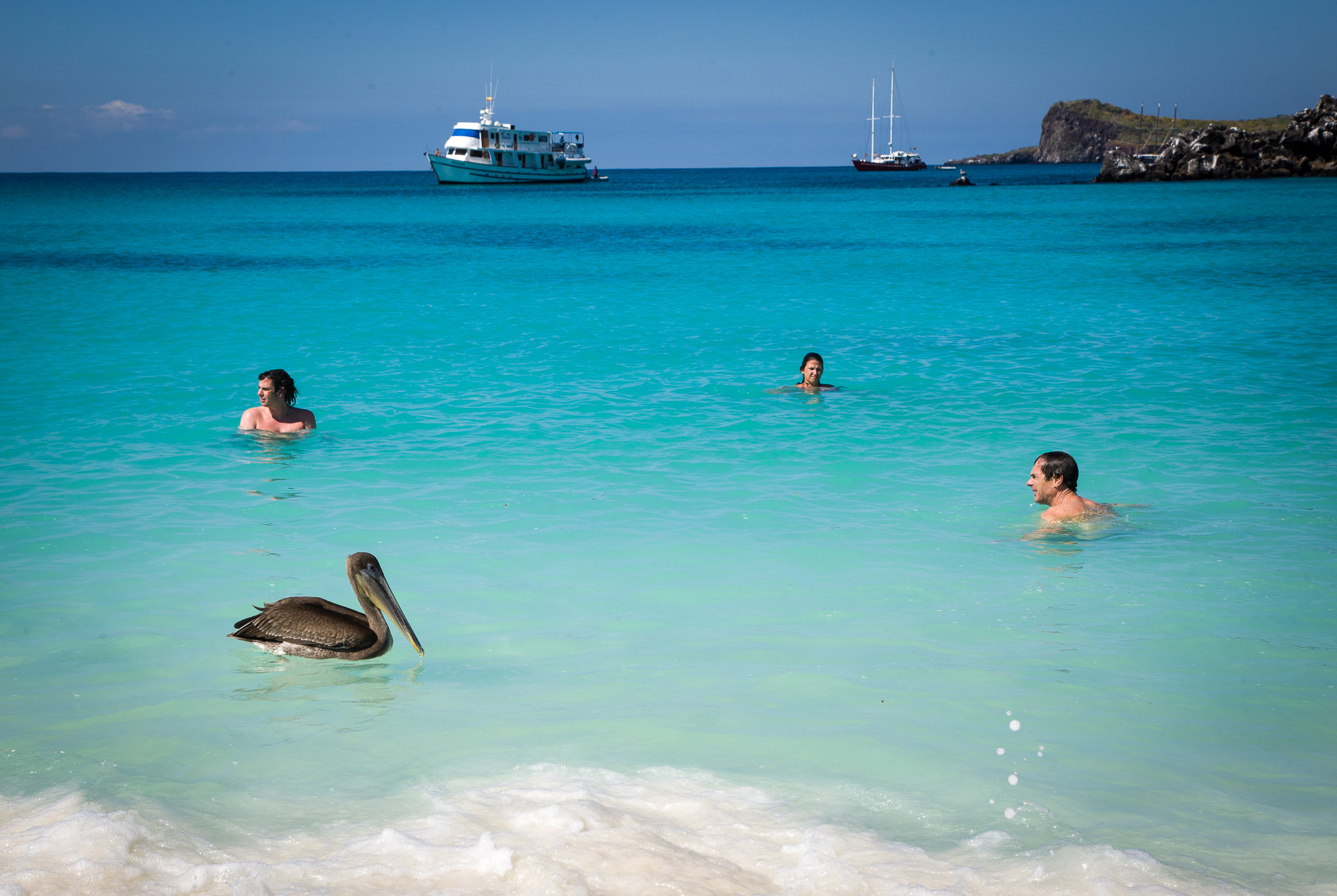 Swimming with the locals