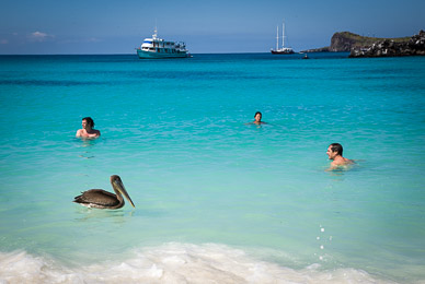 Swimming with the locals
