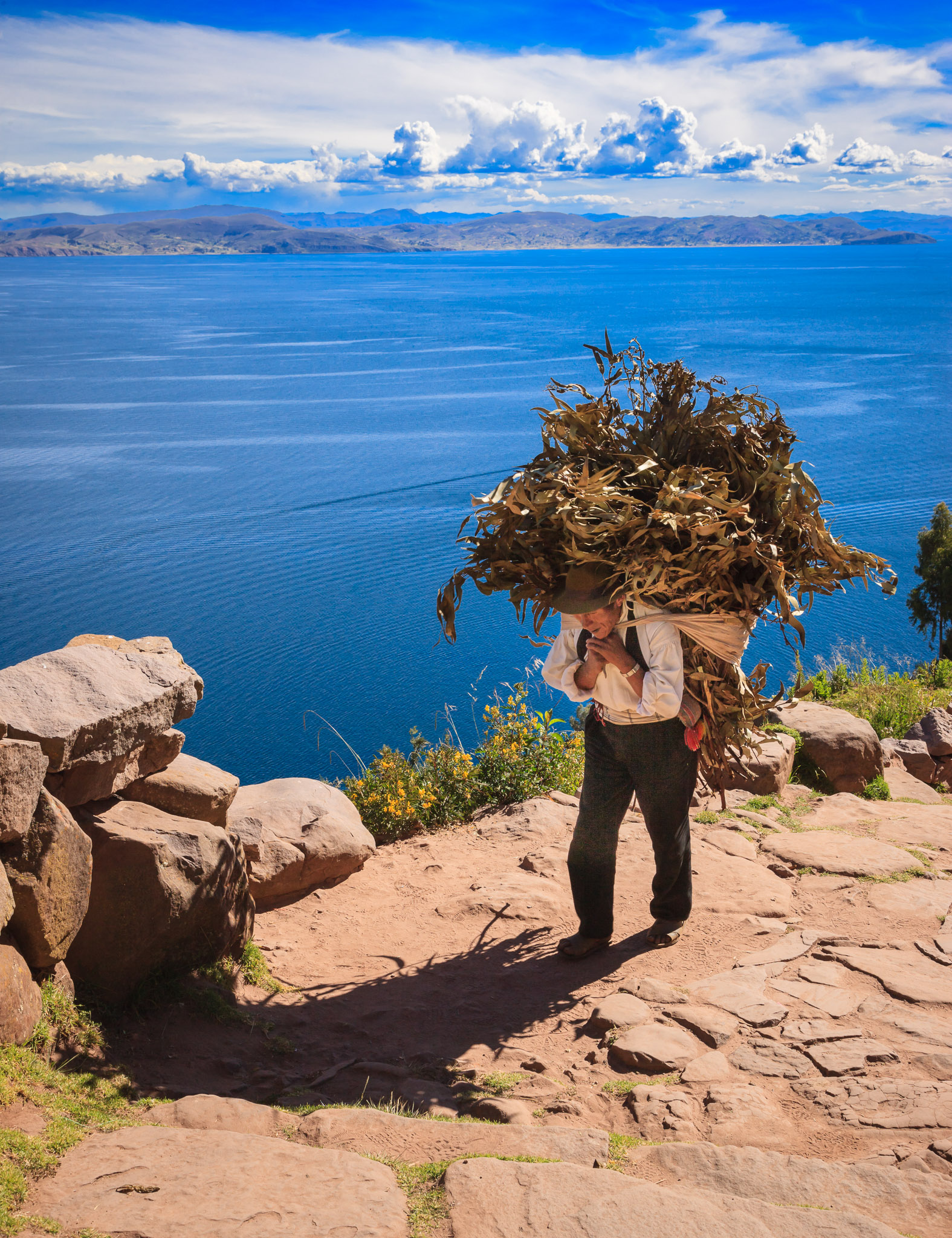 Gathering firewood on Isla Taquile, Lake Titicaca