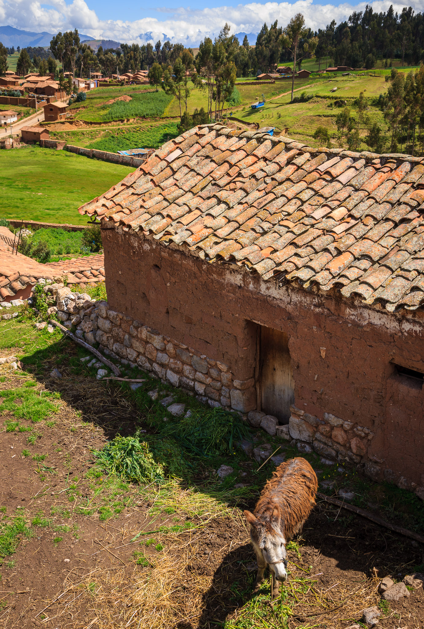 Terra Cotta roof outside Cusco