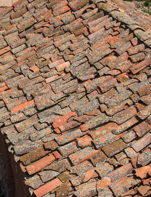 Terra Cotta roof outside Cusco