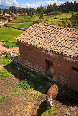 Terra Cotta roof outside Cusco