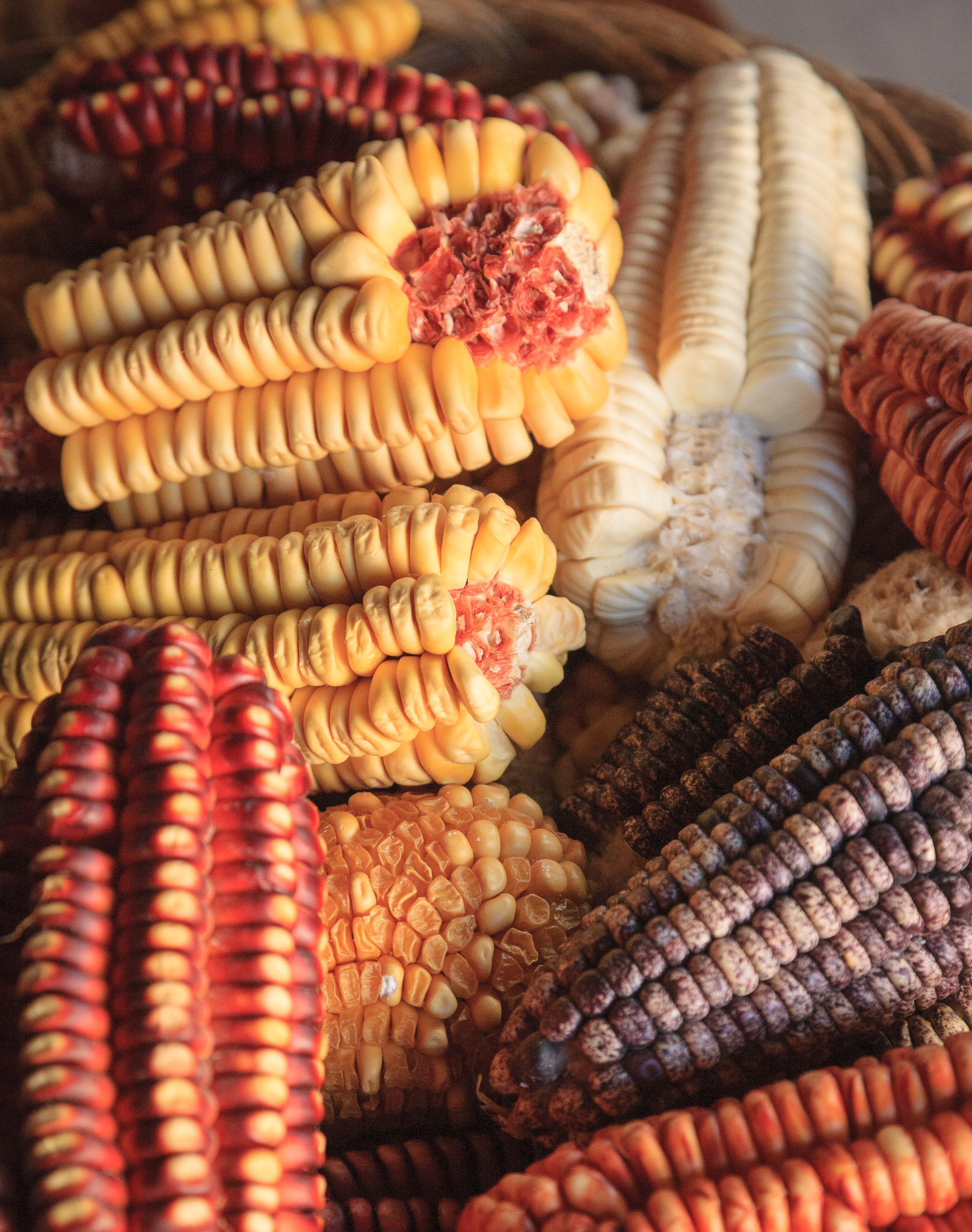 Dried maize