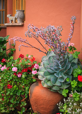 Gardens at Hotel Sol y Luna, Pisaq