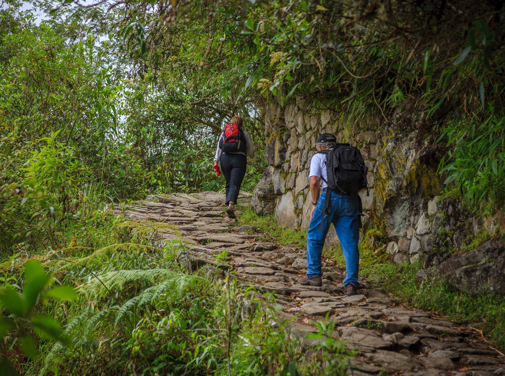 Climbing Inca Trail up to the Sun Gate