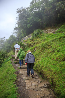 Climbing into Machu Picchu