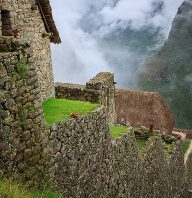 Machu Picchu terracing with bromeliads