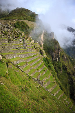 Machu Picchu terracing