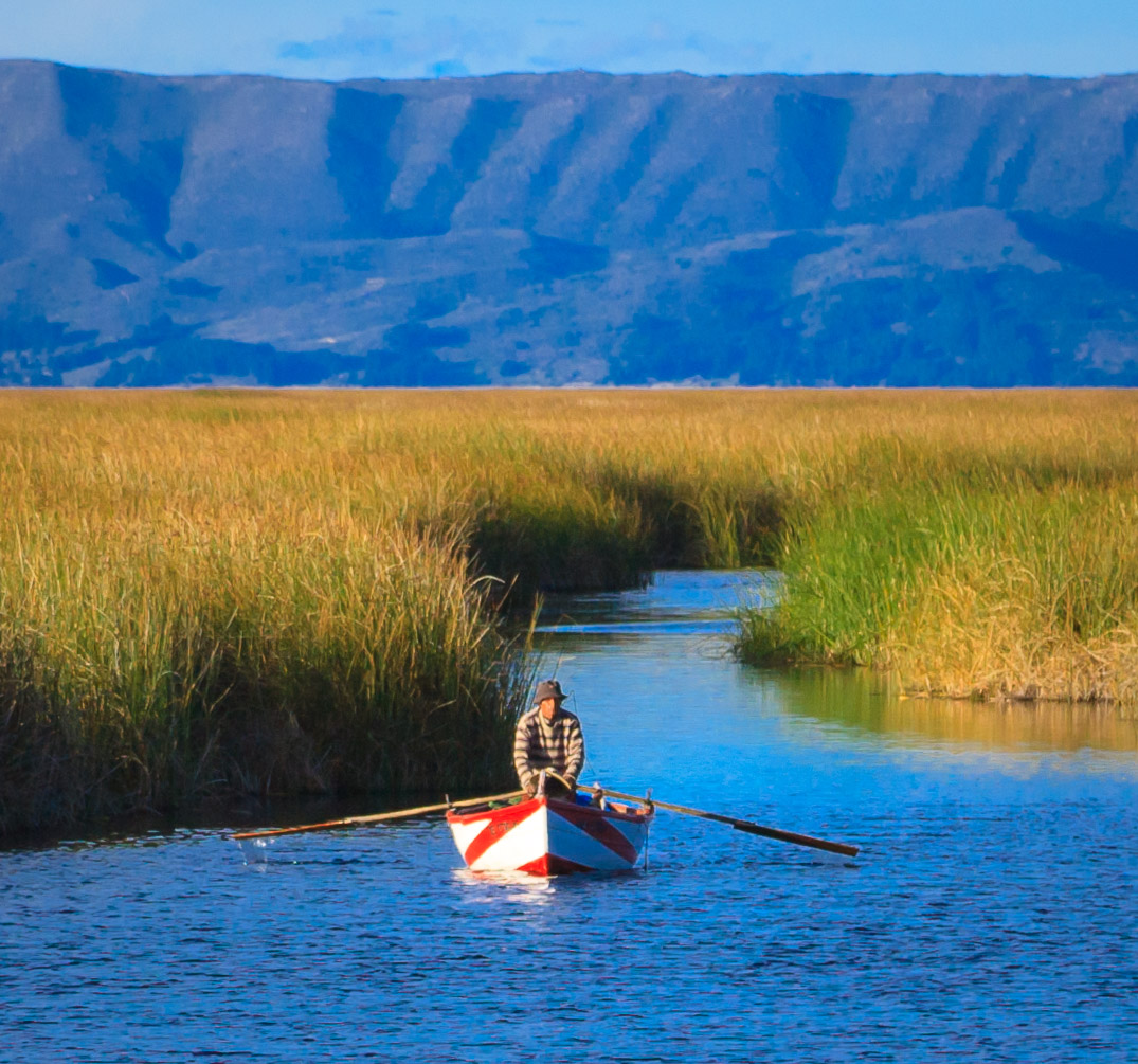Returning to Puno through reed channels