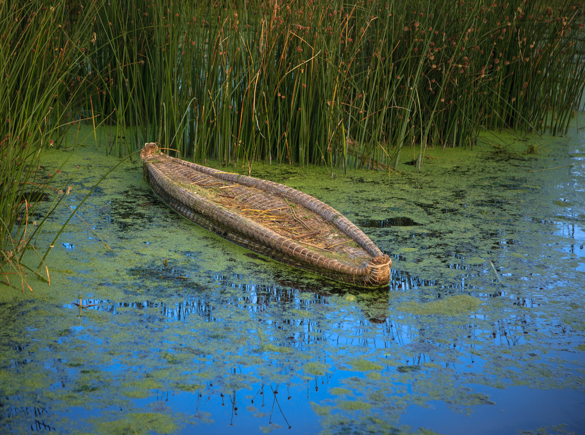 Reed boat