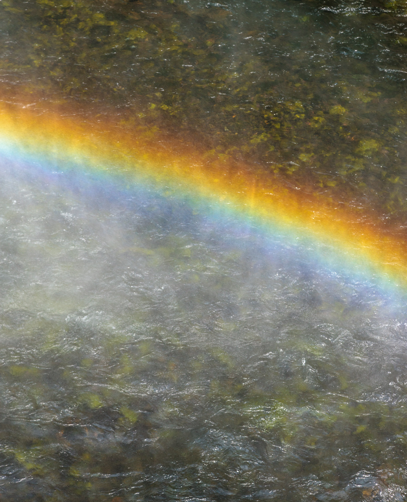 Rainbow at Koosah Falls, Upper MacKenzie River