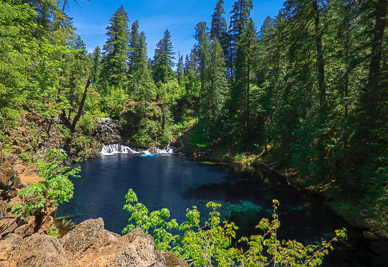 Tamolitch Falls (Blue Hole), Upper MacKenzie River