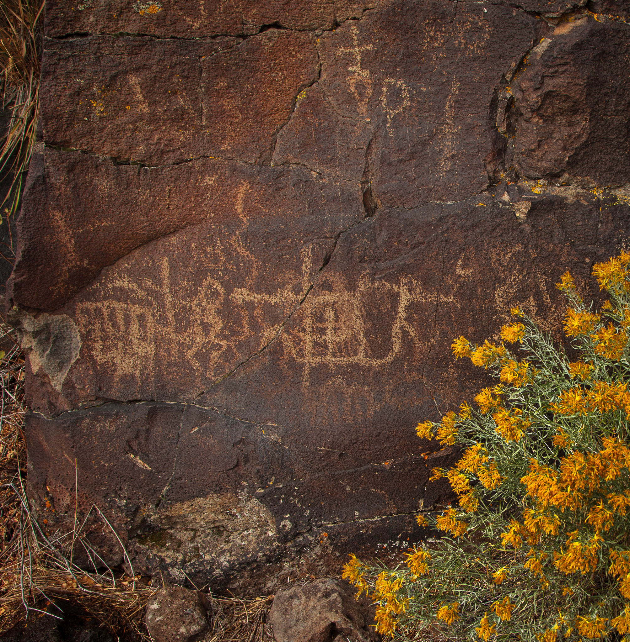 Petroglyphs at Petroglyph Lake