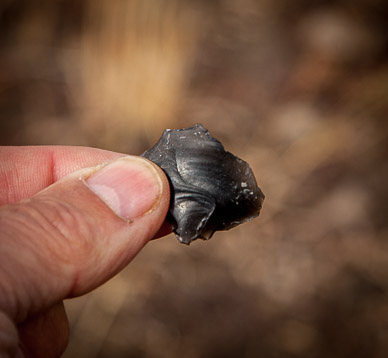 Obsidian Chip, Petroglyph Lake