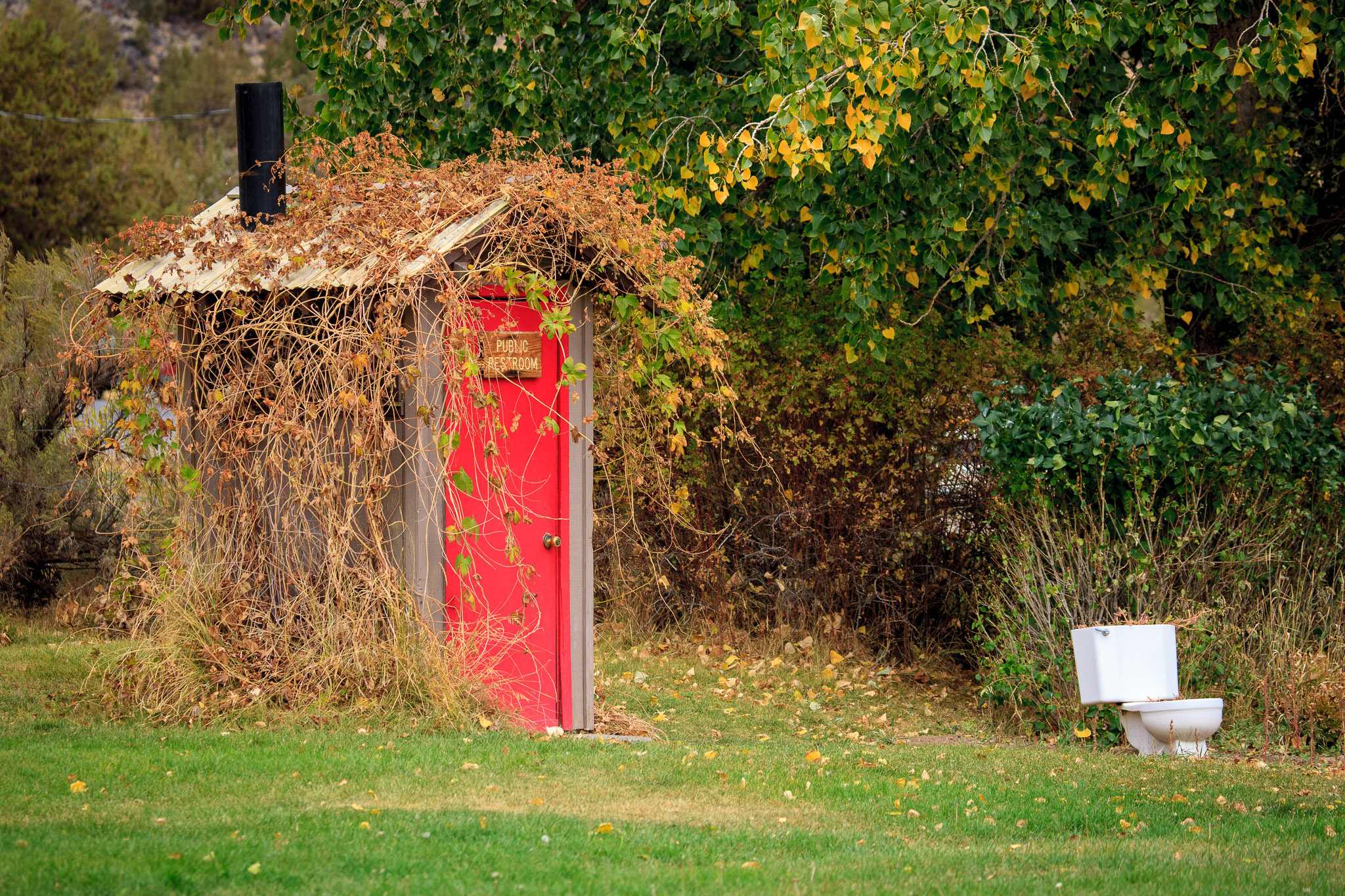 Frenchglen outhouse