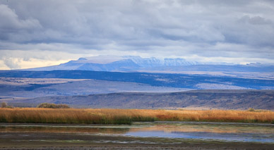 Steens Mtn. from Malheur Bird Refuge