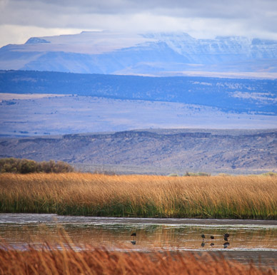 Steens Mtn. from Malheur Bird Refuge