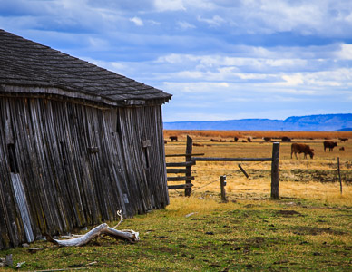 Sod House Ranch