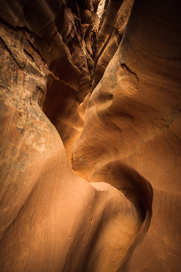 Slot Canyon Details