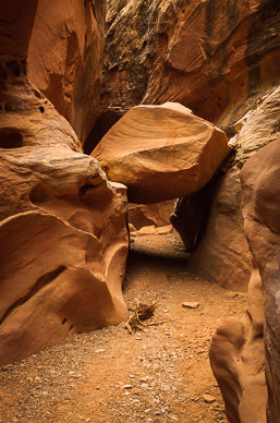 Slot Canyon Details