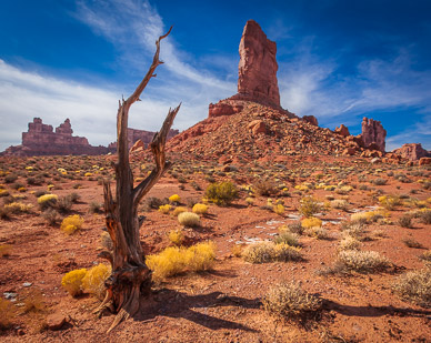Near Castle Butte, Valley of the Gods