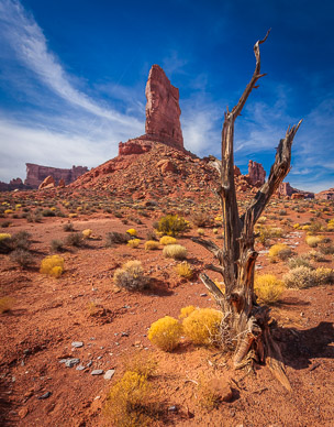 Near Castle Butte, Valley of the Gods