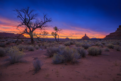 Dawn light, Valley of the Gods