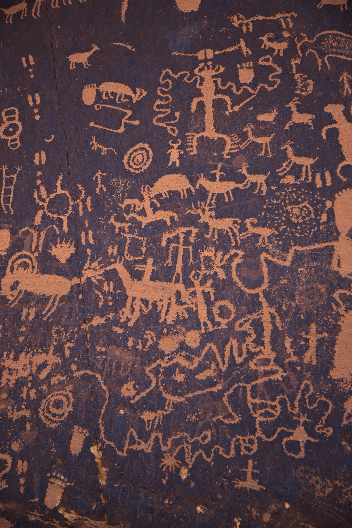 Newspaper Rock Petroglyphs