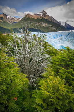 Perito Moreno Glacier
