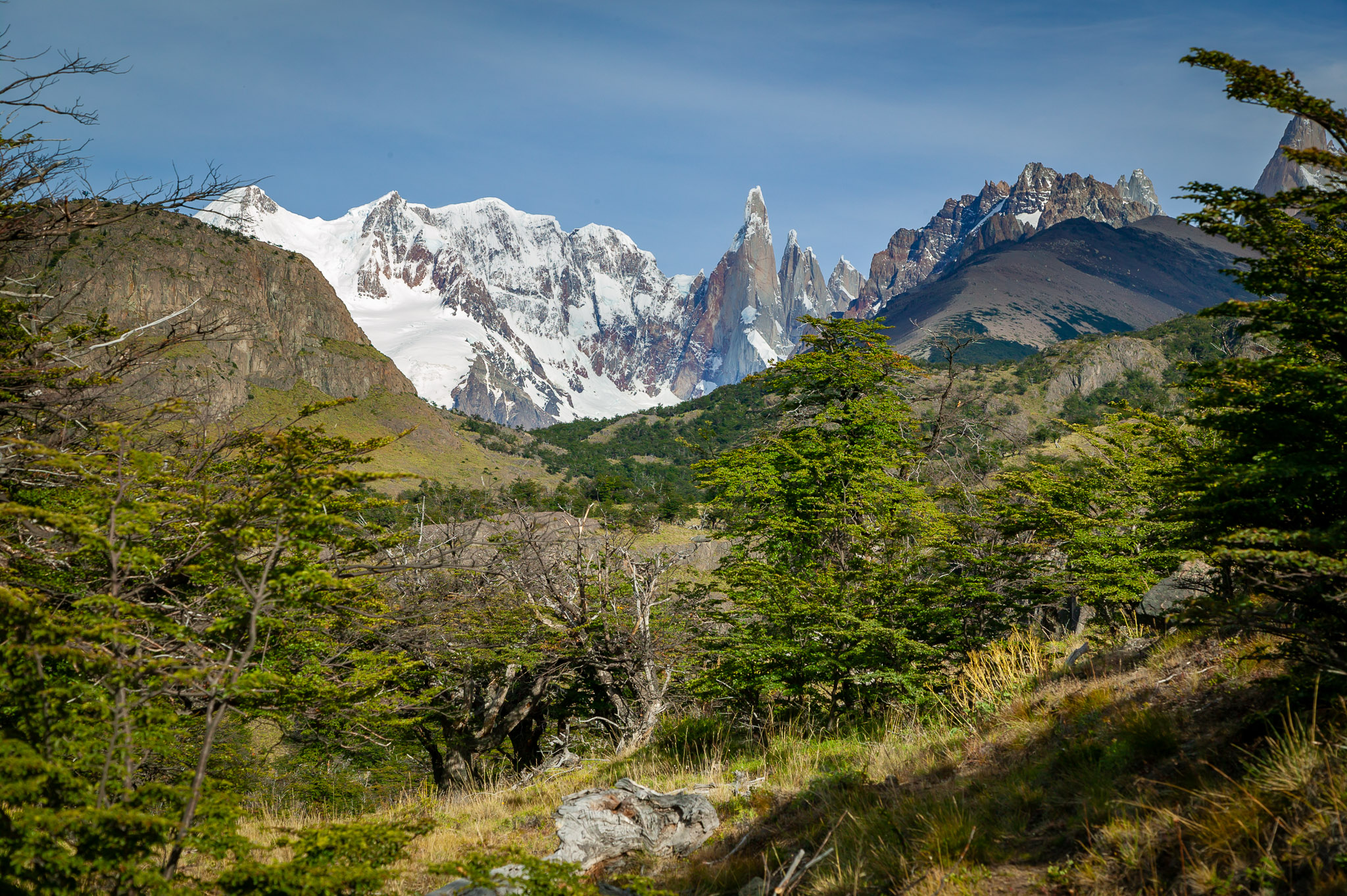 First view of Cerro Torre from trail
