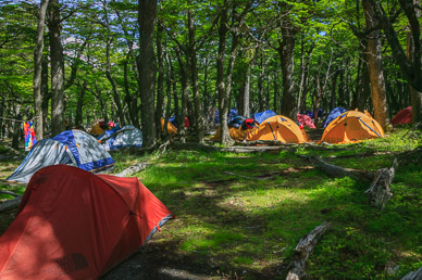 NYCA Camp Thorwood campsite, capacity for 26, but we're alone!