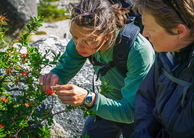 Wanda & Martha examining fire brush