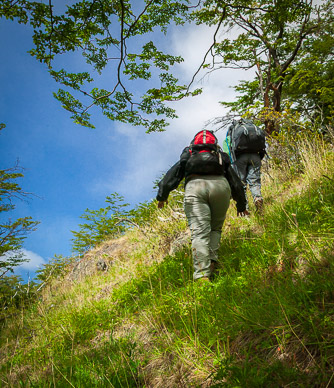 Cross country trail to Rio Electro